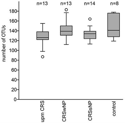 Microbiome and Culture Based Analysis of Chronic Rhinosinusitis Compared to Healthy Sinus Mucosa